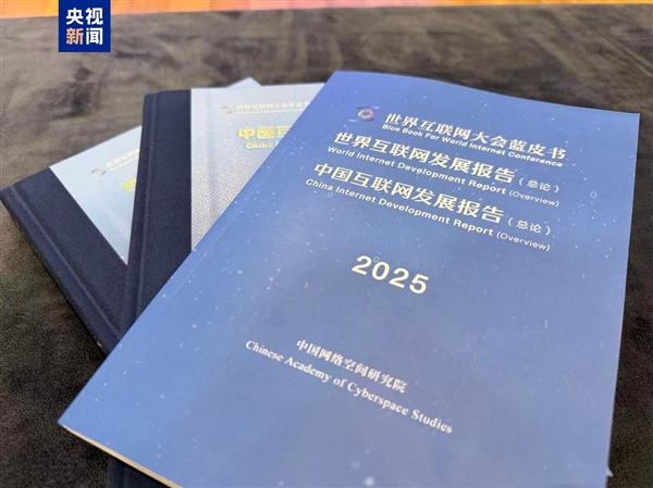 2025互联网蓝皮书今日发布：中国6G专利申请量全球第一
