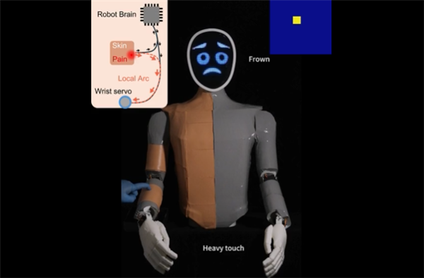 温柔点儿 机器人也怕疼了！电子皮肤主动痛觉+损伤自检双buff拉满