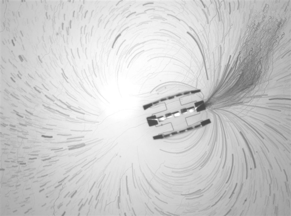 还没一粒盐大！全球最小自主机器人诞生：我有一个大胆的想法