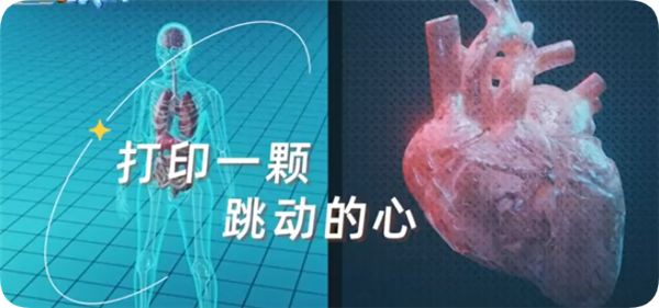 时隔不到一年！我国科学家3D打印出跳动的心脏类器官：未来可进行器官局部修复