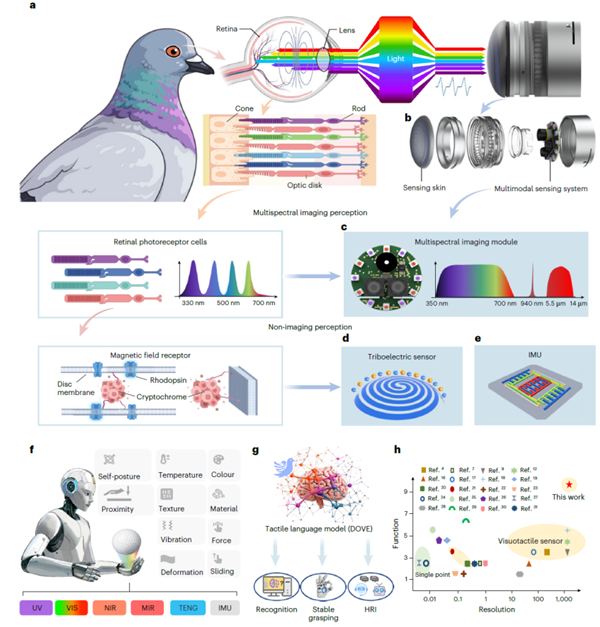 清华重大突破！机器人拥有微米级类人触觉 精度超94%