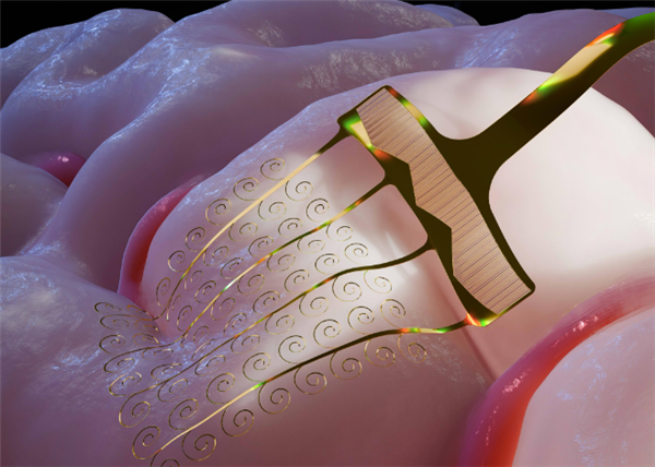 我国研制新型可拉伸柔性电极 破解脑机接口核心难题