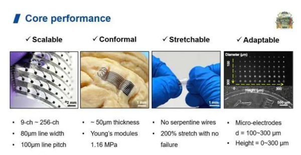 填补技术空白！我国首次完成脑机接口太空在轨验证