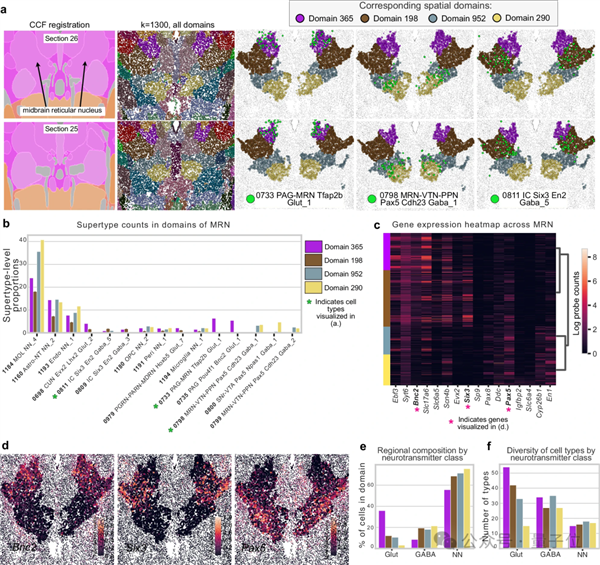 人类画了100年的脑图 AI仅用几小时！还绘制出新脑区