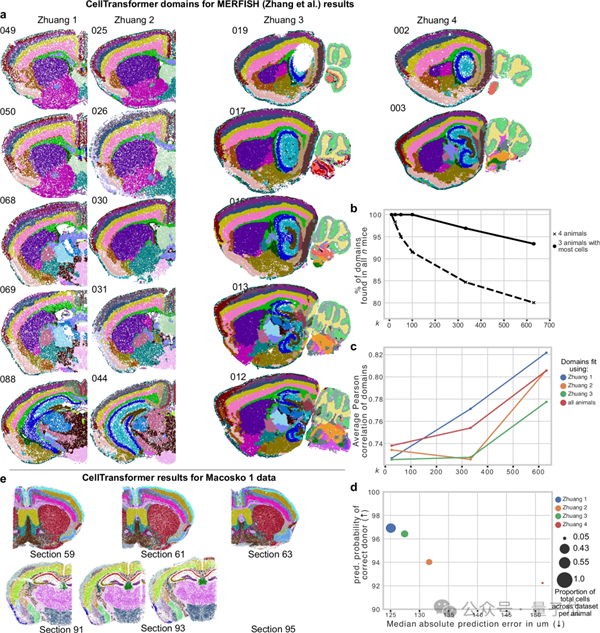 人类画了100年的脑图 AI仅用几小时！还绘制出新脑区